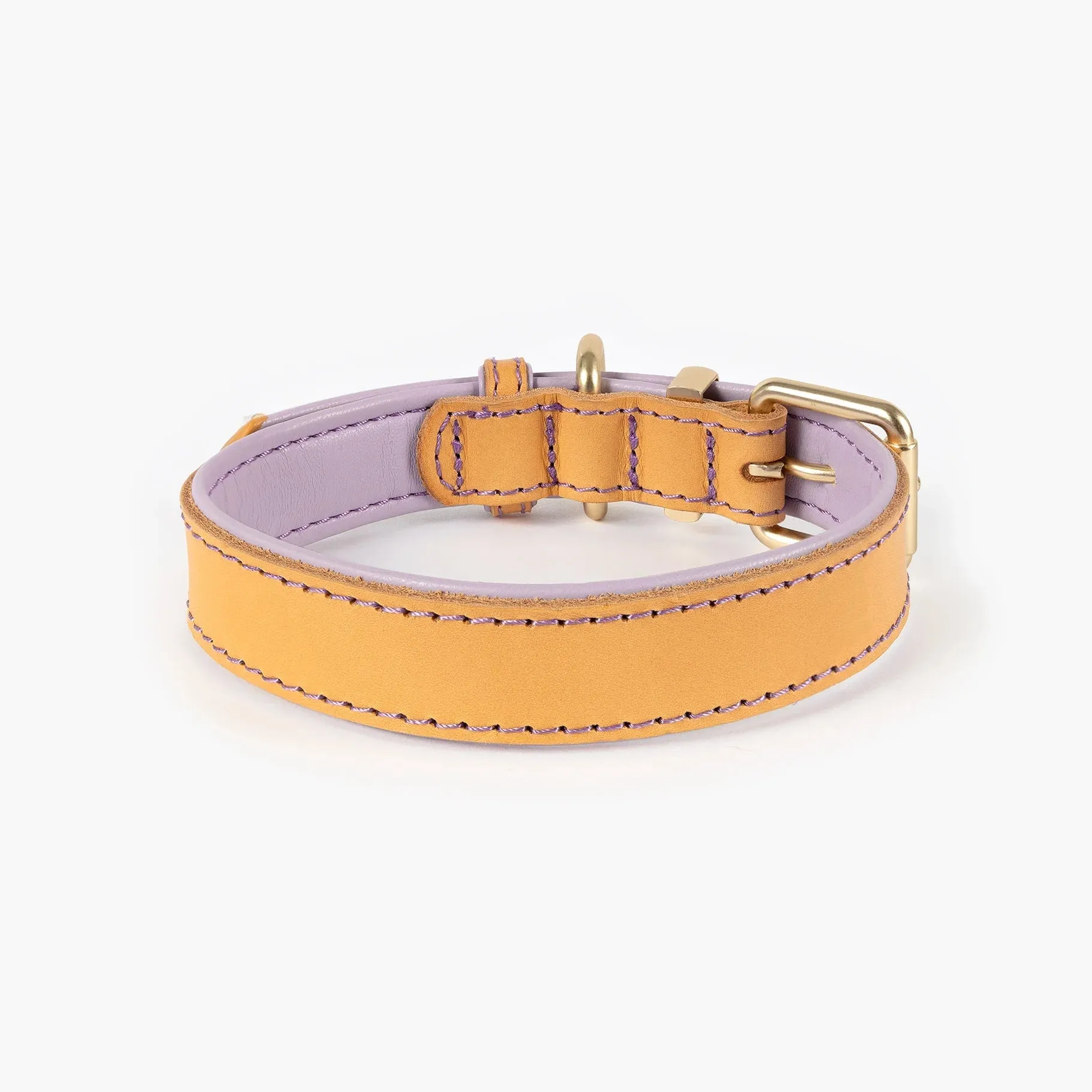 EzyDog Oxford Leather Dog Collar Blonde and Lilac Extra Large